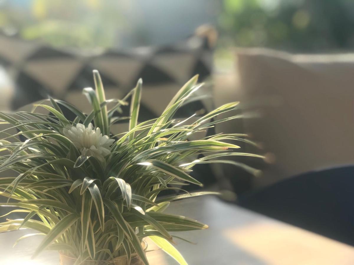 Aonang Eco Villa - SHA Extra Plus Ao Nang Esterno foto
